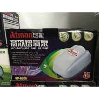 Máy sủi ATMAN HP-8000