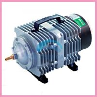 Máy sủi công suất lớn Hailea 60w