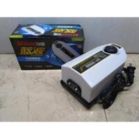 Máy Sủi Khí Oxy 2 vòi Atman