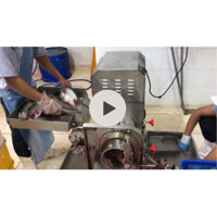 Máy tách xương cá thác lác, máy ép cá sông cá biển tự động CR300