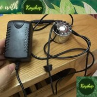 Máy tạo khói bể thủy sinh cá cảnh non bộ có đèn led đổi màu -Giao nhanh 2h