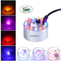 Máy tạo khói có đèn đổi màu 800ml/h