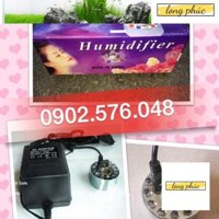 Máy tạo khói có đèn