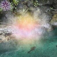 Máy tạo sương mù Fogger Trang trí Thiết thực Mister Forgger Máy tạo sương mù nước chức năng với 12 đèn LED Máy tạo sương mù đa năng SHOPQJC3477