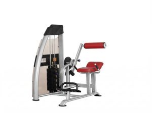 Máy tập cơ lưng Tiger Sport TG-170