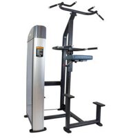 Máy tập xà đơn/xà kép Tiger Sport TGP-790