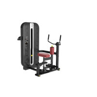 MÁY TẬP XOAY EO MS FITNESS ACF-011
