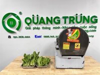 Máy thái hành lá băng tải YDQC-20 – Chiếc