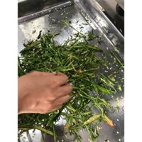 Máy thái lá hành, máy thái rau hành ngò,thái rau lá sấy khô, máy thái rau CHD40