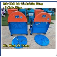 Máy thái nạo , thái lát khoai lang, khoai tây chạy điện 220 V tại thái thịnh