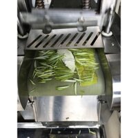 Máy thái nha đam hạt lựu, máy thái thanh long/ xoài hạt lựu, máy thái dạng băng tải JL660