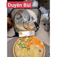 Máy thái rau củ quả đa năng tỏi, ớt, rau củ quả, thái sung sả, ...