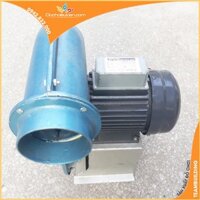 Máy thổi 2HP dành cho nhà hơi, nhà phao
