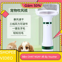 Máy thổi gió cho thú cưng , máy thổi nước cho thú cưng, máy thổi lông cho chó mèo, máy sấy tóc cho thú cưng