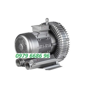 Máy thổi khí con sò Hong Helong GB-15000S 15Kw
