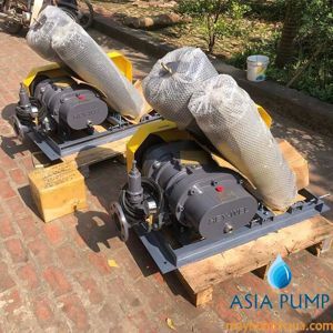 Máy thổi khí Heywel RSS-100