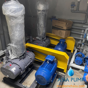 Máy thổi khí RSS-80 (không motor)