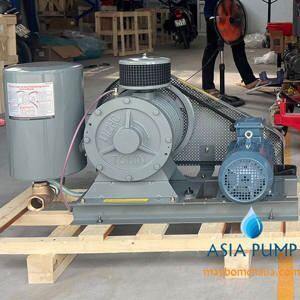 Máy thổi khí Tohin HC 501S - 2.2kW