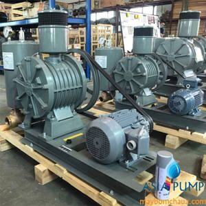 Máy thổi khí Tohin HC 80S - 4kW