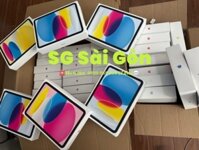 Máy Tính Bảng Apple IPad Gen 11 A16 Wifi (6GB/ 128Gb/ Blue)- MD4A4ZA/A