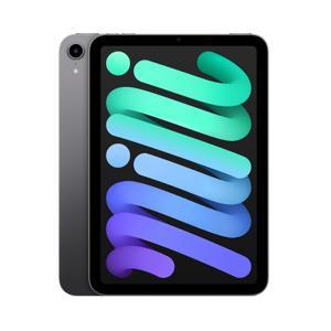 Máy tính bảng iPad mini 6 4G - 64GB, Wifi + 4G, 8.3 inch