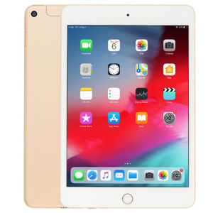 Máy tính bảng iPad mini 5 (2019) - 256GB, 7.9 inch, Wifi