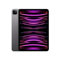 Máy tính bảng Apple IPad Pro 11 M2 Wifi (128Gb/ Space Gray/ MNXD3ZA/A)