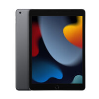 Máy tính bảng iPad gen 9 10.2-inch iPad Wi-Fi 256GB - Space Grey (MK2N3) - 194252516591
