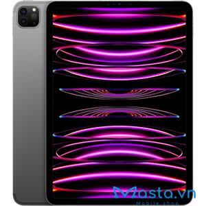 Máy tính bảng iPad Pro M2 11 inch (2022) Wifi + Cellular 2TB