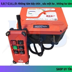 Máy tời điện Mini PA1000