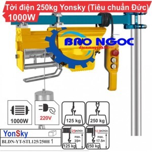Máy tời điện Yonsky BLDN-YT-STL125/250H
