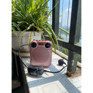 Máy trợ giảng Davidson V-300UB