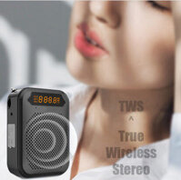 Máy trợ giảng không dây ESFOR ES630 Plus TWS Line Out 45W âm thanh xuất sắc