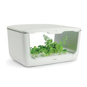 Máy trồng cây thông minh Hafele BM-H001WH 539.76.990