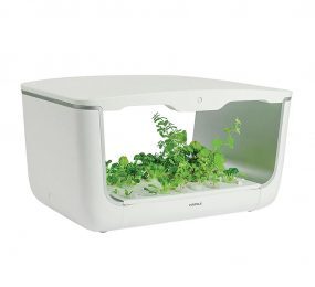 Máy trồng cây thông minh Hafele BM-H001WH 539.76.990