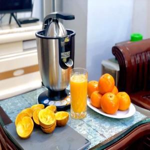 Máy vắt cam Princess Champion Juicer 201852