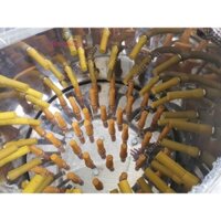 Máy vặt lông gà vịt phi 60 lắp mô tơ 1,5kw lõi đồng 100%