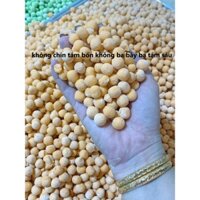 Máy vo viên thức ăn cho gà, vo viên thuốc đông y, thuốc bắc DZ20