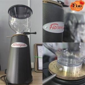Máy xay cà phê Fiorenzato F4 Eco
