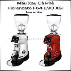 Máy xay cà phê Fiorenzato F64 EVO XGi