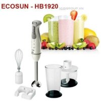 Máy xay cầm tay Ecosun HB1920 ( kèm đánh trứng, cối xay thịt)