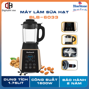 Máy xay nấu đa năng Bluestone BLB-6033