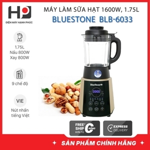 Máy xay nấu đa năng Bluestone BLB-6033