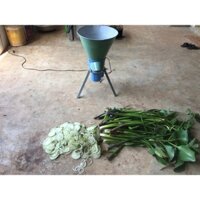 Máy xay rau muống cây bèo tây làm phân hữu cơ