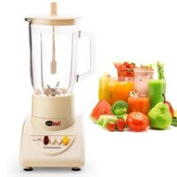 Máy xay sinh tố Bigsun BB - 179 2 in 1