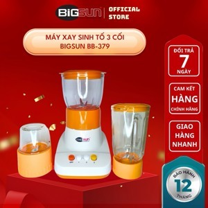 Máy xay sinh tố Bigsun BB379 (BB-379)