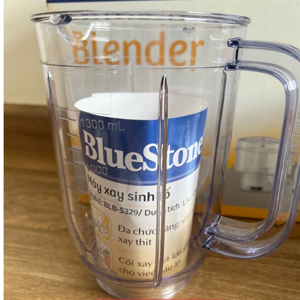 Máy xay sinh tố Bluestone BLB5316 (BLB-5316) - 250W