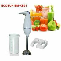 MÁY XAY SINH TỐ CẦM TAY ECOSUN -BN_XB31