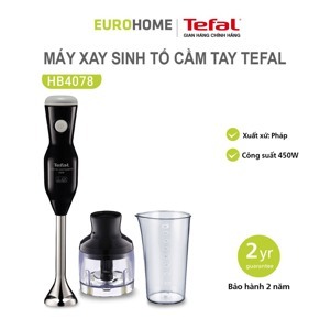 Máy xay sinh tố cầm tay Tefal HB4078 - 450W