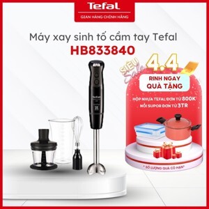 Máy xay sinh tố cầm tay Tefal HB833840 - 600W